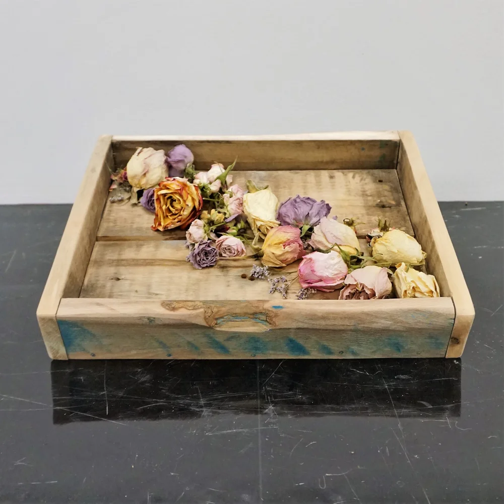 Botanicals — Kate's Garden